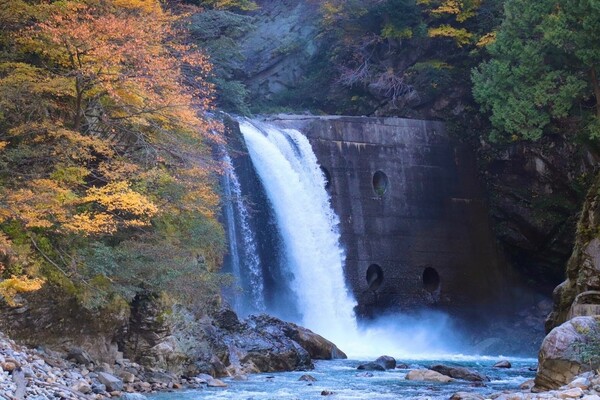 富山 占い