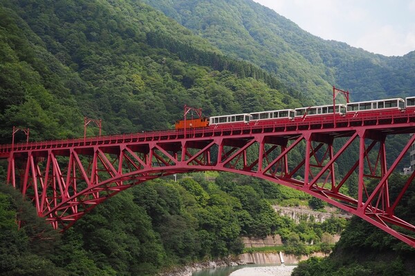 富山 占い