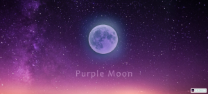 Purple Moon（パープルムーン）