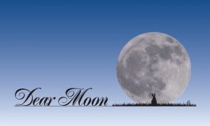 Dear Moon