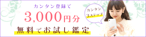 電話占いリエル料金