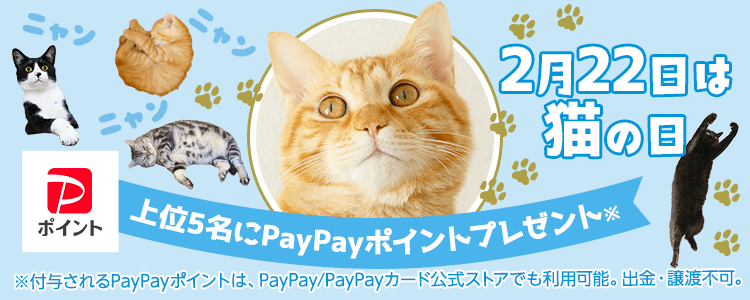 ニャンニャンニャン🐱2月22日は猫の日🐱vol.1