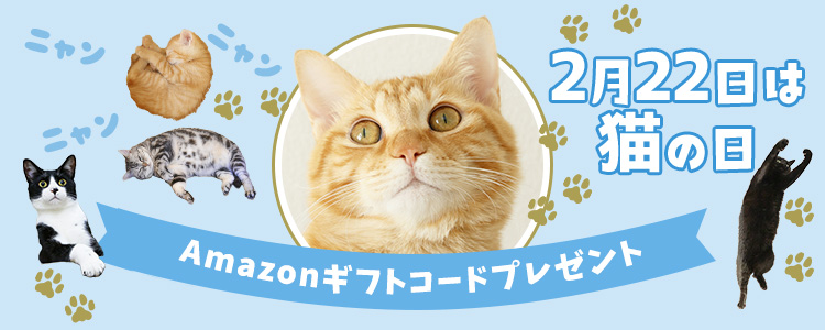 ニャンニャンニャン🐱2月22日は猫の日🐱vol.3