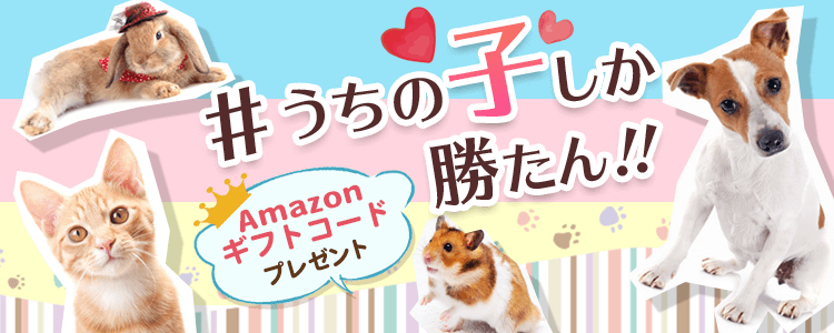 #うちの子しか勝たんvol.8